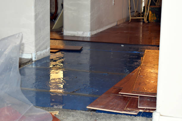 Professional Flood Damage Repair technician working in Cedar Island, NC